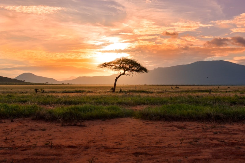 🇰🇪 肯尼亚