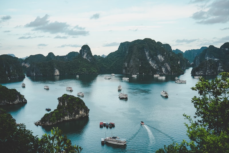 🇻🇳 越南